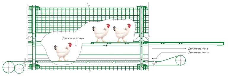 poultry equipment TEXHA